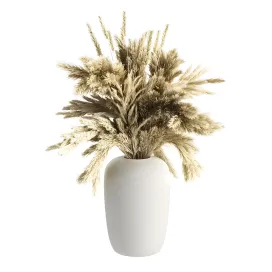 Apothecary vase with pampas grass by kristina dam studio